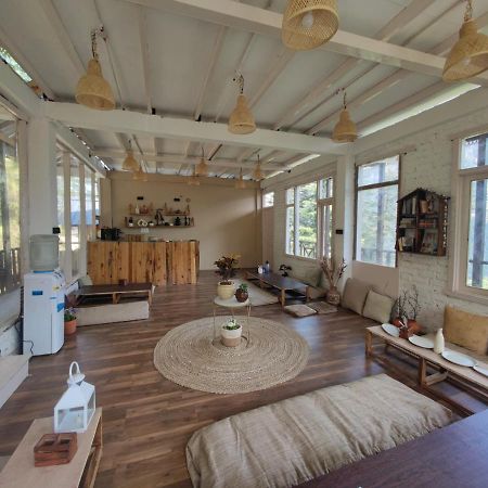 Freebird Nest 2 Stays & Cafe Jibhi Exterior foto